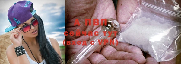 амф Белоозёрский