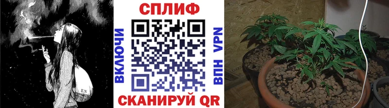 даркнет наркотические препараты  Чусовой  Канабис сатива  сколько стоит 